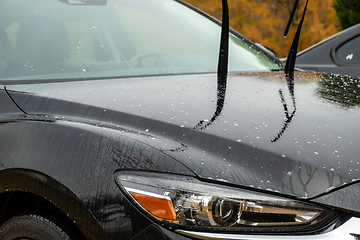 Image showing car wash cleaning and prepare for detailing