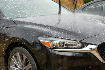 Image showing car wash cleaning and prepare for detailing