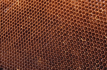 Image showing honey combs background