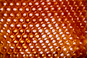 Image showing honey combs background