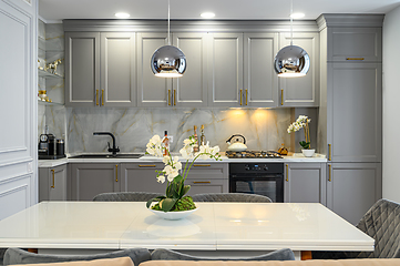 Image showing Grey and white luxury kitchen in modern style