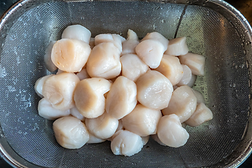 Image showing raw scallops prepared for party