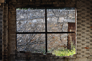 Image showing overgrown garden abandoned interior