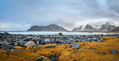 Image showing Rocky coast of fjord in Norway