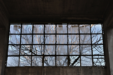 Image showing tree branches factory window