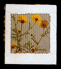 Image showing wild flowers cardboard frame