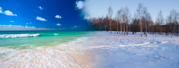 Image showing Summer transforming to winter