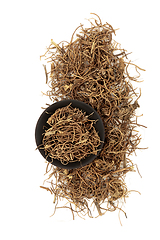 Image showing Cynanchum Herb Chinese Herbal Plant Medicine