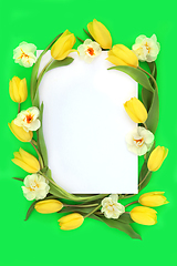 Image showing Trendy Tulip and Narcissus Flower Abstract Spring Border