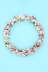 Image showing Spring Wreath with Apple Blossom Flowers