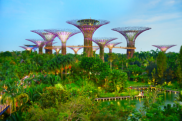 Image showing Gardens by the Bay, Singapore