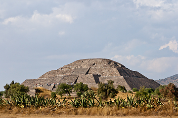 Image showing Teotihuacan Pyramids