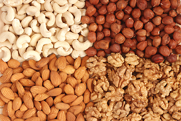 Image showing Different nuts (almons, cashews, walnuts and filbers) close up