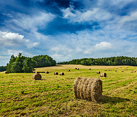 Image showing Hay bales on field