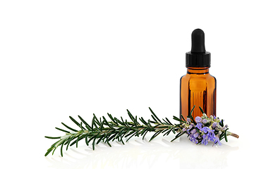 Image showing Rosemary Herb Aromatherapy Essential Oil