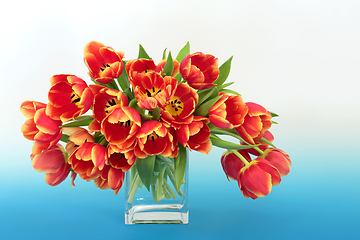 Image showing Beautiful Spring Vivid Tulip Flower Arrangement