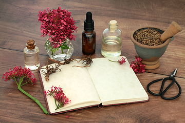 Image showing Valerian Plant Medicine for Natural Herbal Remedies