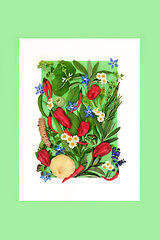 Image showing Plant Based Herbs Wildflowers and Spice Food Seasoning Backgroun