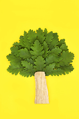 Image showing Surreal Oak Tree Eco Freindly Go Green Symbol