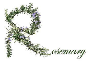 Image showing Rosemary Herb Herbal Medicine Abstract