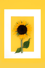 Image showing Summer Sunflower Sunshine Background Border Frame
