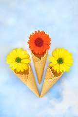 Image showing Ice Cream Cone Summer Flower Surreal Concept