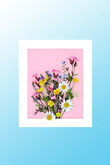 Image showing Beautiful Wild Flower Posy Abstract Picture Frame