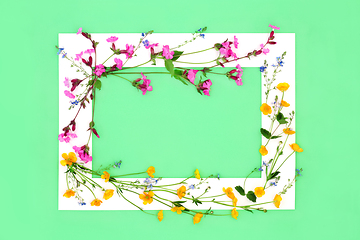 Image showing Buttercup Red Campion and Speedwell flower Background Frame