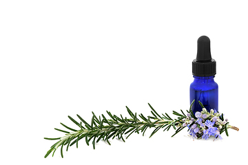 Image showing Rosemary Herbal Medicine Aromatherapy Essential Oil