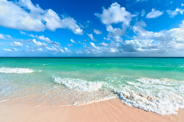 Image showing Beautiful beach and sea