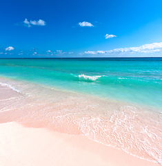 Image showing Beautiful beach and sea