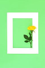 Image showing In Memorium RIP Rose Flower Background Frame