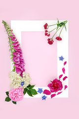 Image showing Wildflower Herbal Plant Medicine Background Border