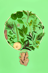 Image showing Abstract Herb Leaf and Spice Tree Concept Shape 