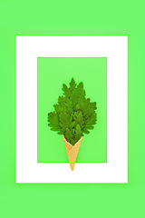 Image showing Go Green Oak Leaf Ice Cream Surreal Concept