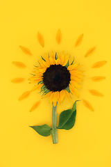 Image showing Sunflower Summer Sunshine Abstract Design 