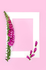 Image showing Foxglove Wild Flower Background for Healing Plant Medicine