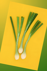 Image showing Spring Onions Healthy Organic Salad Food 