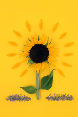 Image showing Sunflower Sunny Abstract with Healthy Seeds