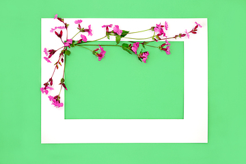 Image showing Red Campion Wild Flower Abstract Background Frame