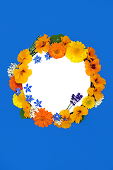 Image showing Summer Wreath of Healing Flowers and Herbs