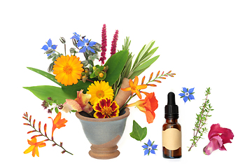 Image showing Healing Flowers and Herbs used in Herbal Flower Remedies