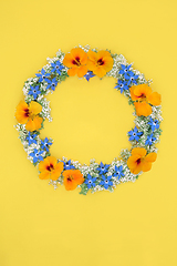 Image showing Summer Flowers and Wildflowers Herb Wreath 