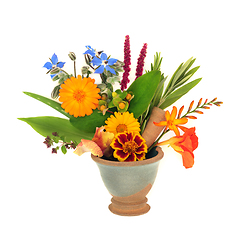 Image showing Summer Flowers and Herbs for Natural Herbal Plant Medicine