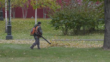 Image showing Working blows autumn leaves vacuum blower