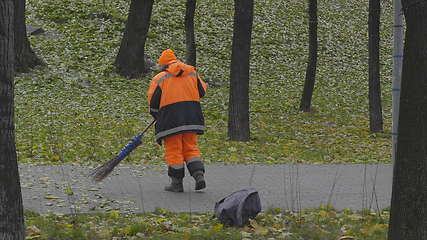 Image showing Worker sweeps autumn leaves with a broom from the sidewalk