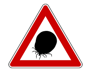 Image showing Attention sign tick on white