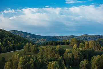 Image showing A herd of sheep in the Altai mountains.