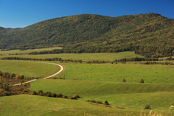 Image showing Road at the mountains