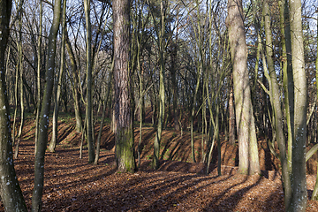 Image showing beautiful nature in the autumn season